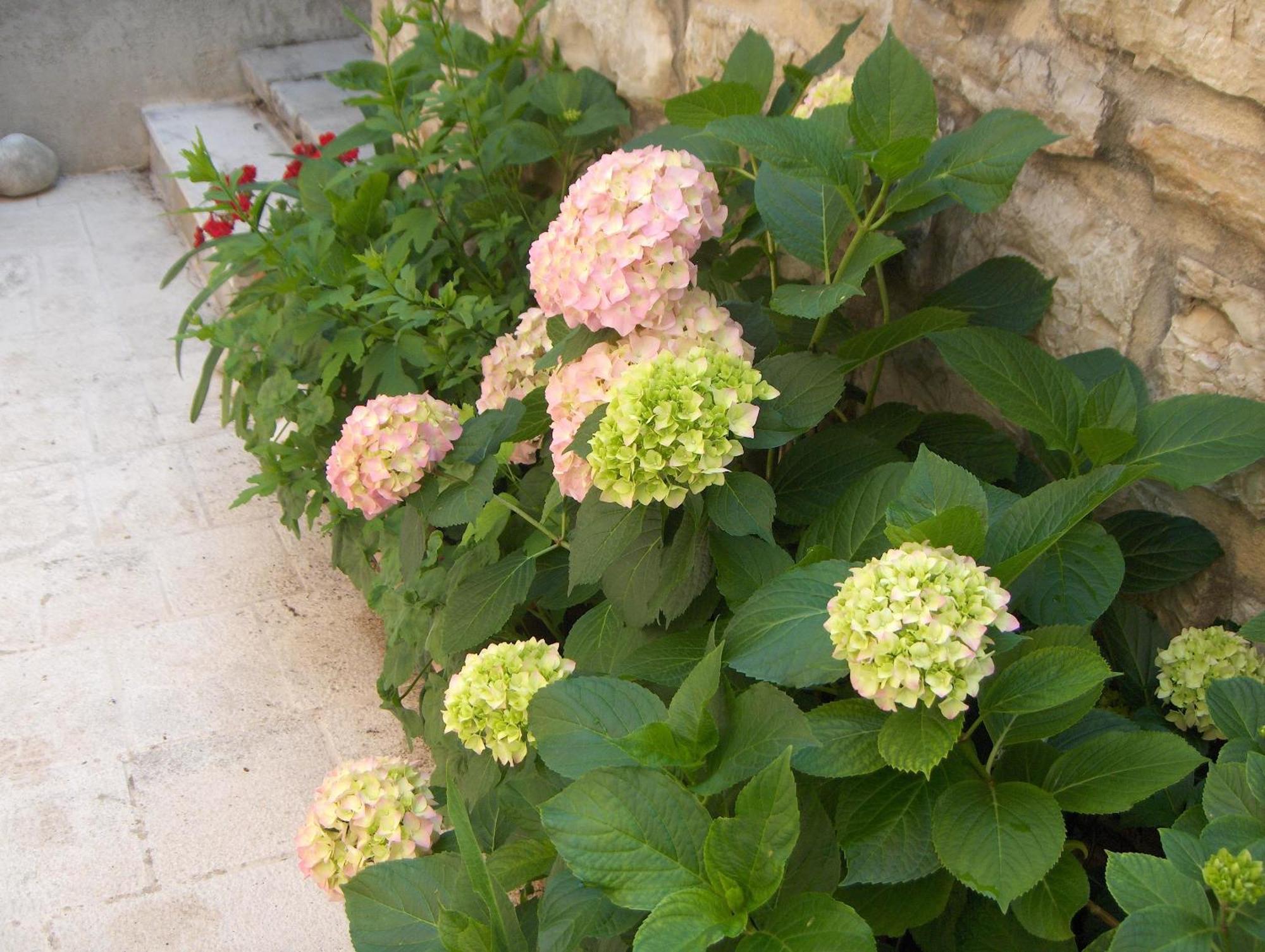 Guest House Lucijo Vrboska Exterior foto